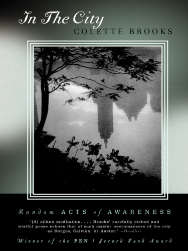 ﻿در شهر: اعمال تصادفی آگاهی