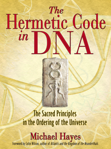 ﻿کد تقارن در DNA: اصول مقدس در نظم جهان