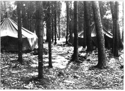 ﻿فرار از رایش سوم: فولکه برنادوت و اتوبوس های سفید