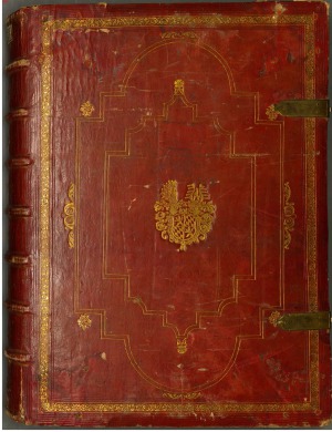 ﻿یک کار بسیار گسترده در مورد مهارت های ورزشی