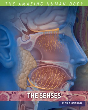 The Senses (بدن شگفت انگیز انسان)