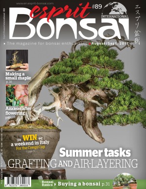 اسپریت بونسای بین المللی