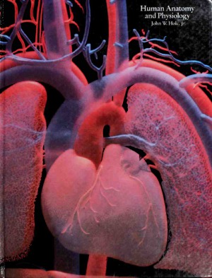 آناتومی و فیزیولوژی انسان