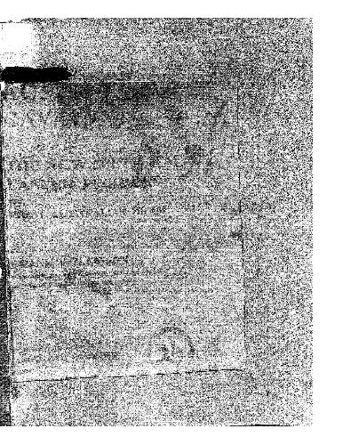 تاریخ نظامی: سواره استرالیا ، N.S.W. هنگ لنسر