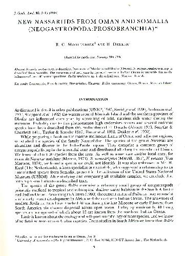 نصاریان جدید از عمان و سومالی