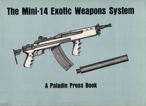 ﻿سیستم تسلیحات عجیب و غریب Mini-14، نسخه اصلاح شده