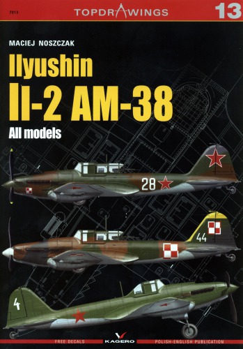 ﻿Ilyushin Il-2 AM-38: همه مدل ها