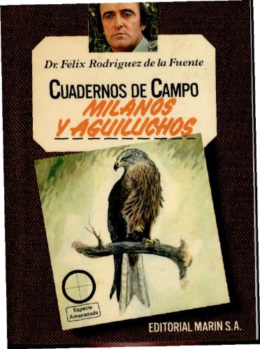 ﻿بادبادک ها و بادبادک ها