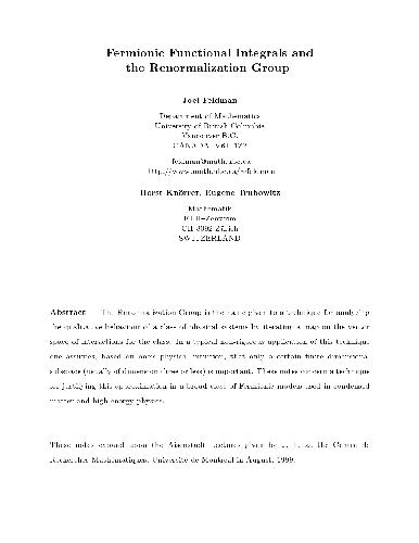 انتگرالهای عملکردی Fermionic و گروه Renormalization