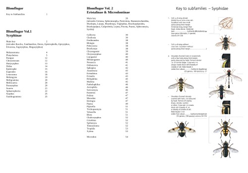 ﻿Tvåvingar. Blomflugor : Diptera : Syphidae : Syrphinae - Eristalinae