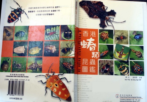 ﻿香港蝽类昆虫图鉴