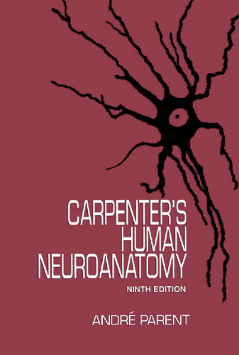 Neuroanatomy انسانی نجار