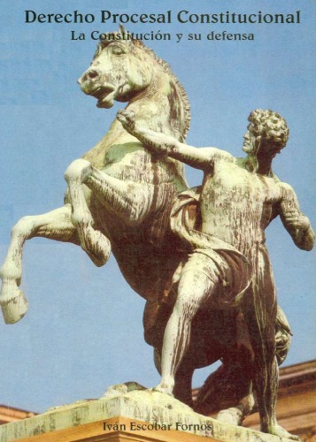 ﻿قانون آیین دادرسی اساسی: قانون اساسی و دفاع از آن