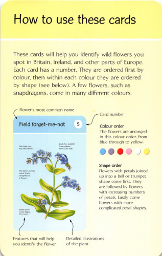 ﻿50 گل برای دیدن