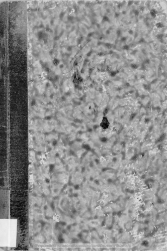 ﻿خوانش های جدید یونانی برای استفاده از رسانه ها و مدارس تجاری عملی