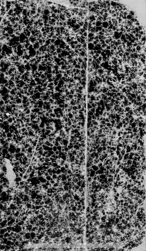 ﻿قرائت یونانی مدرن برای کلاس چهارم دختران دبیرستانی
