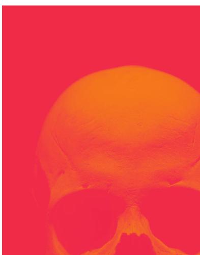 ﻿پس از انقراض