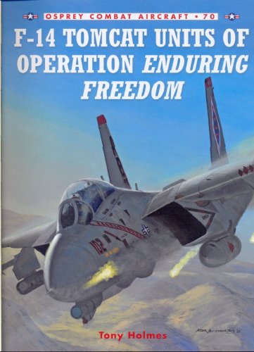 واحد F-14 Tomcat از عملیات آزادی پایدار