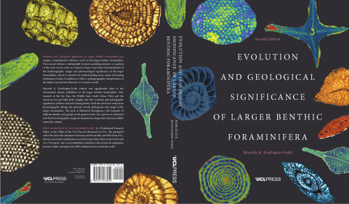 ﻿تکامل و اهمیت زمین شناسی روزن داران بزرگتر کفزی