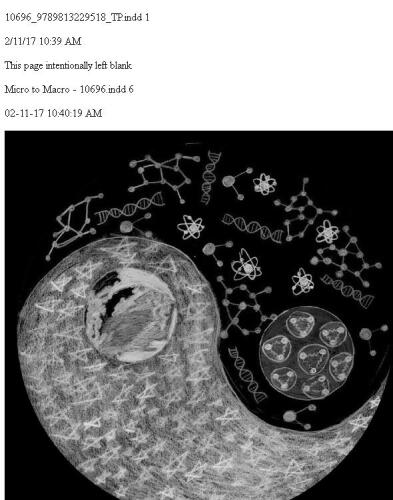 از میکرو به کلان: ماجراهای یک فیزیکدان سرگردان