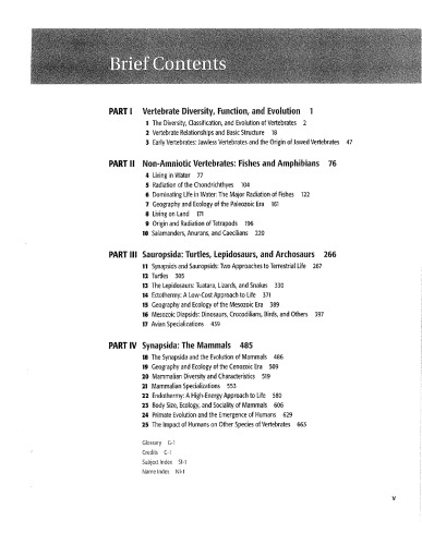 زندگی مهره داران