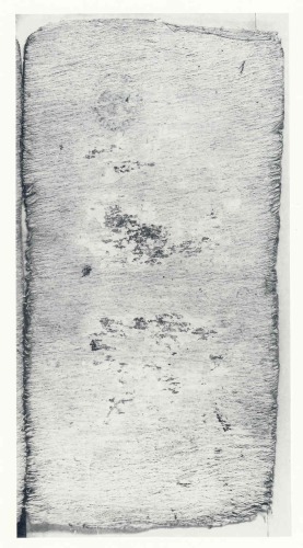 ﻿Codex Peresianus. کدهای مایا / Codex Maya