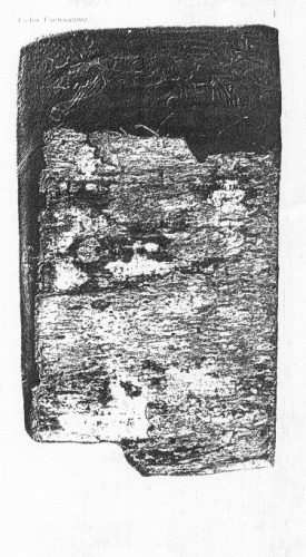 ﻿Codex Tro-Cortesianus. کدهای مایا / Codex Maya