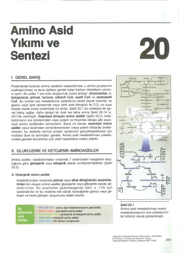 ﻿بررسی های مصور لیپینکوت بیوشیمیایی