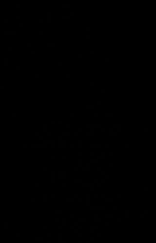 آلخین برابر باگولجوبو 1934 مسابقه