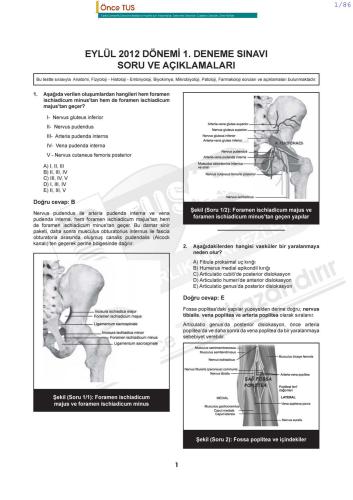 ﻿آزمایشات ترم تابستانی سپتامبر 2012
