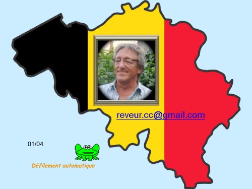 راهنمای تور بروکسل بروکسل