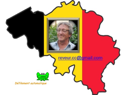 راهنمای تور بروکسل بروکسل