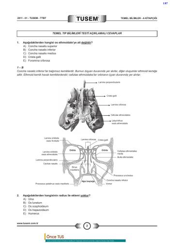 محاکمات Tusem 2011