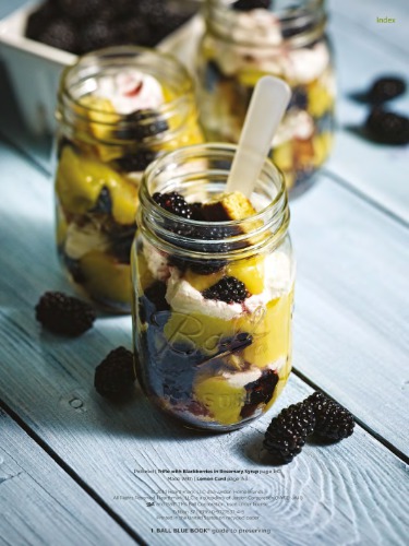 ﻿کتاب آبی توپی: راهنمای نگهداری