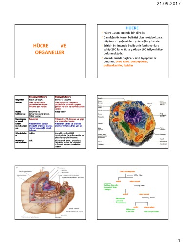 ﻿اسلایدهای بیوشیمی توسم