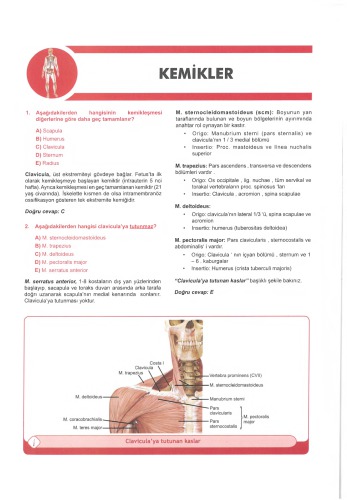 ﻿مجموعه سوالات آناتومی