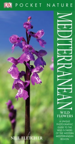 ﻿گل های وحشی مدیترانه ای