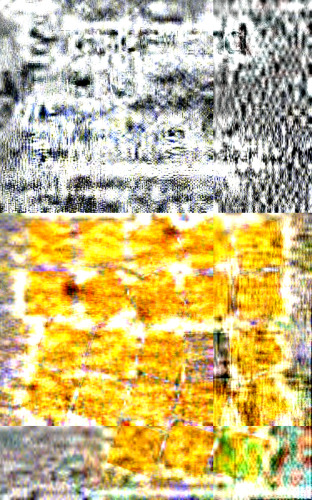 ﻿غریبه و دوست: راه یک انسان شناس