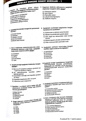 ﻿آسيب شناسي