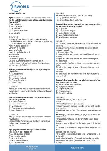 ﻿نیتوح ناب