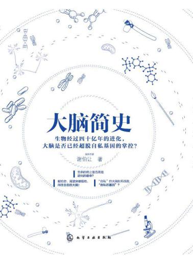 ﻿大脑简史