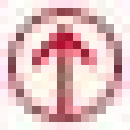 دائرlopالمعارف روشنگری