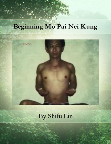 ﻿Beginning Mo Pai Nei Kung (نسخه توسعه یافته سوم)