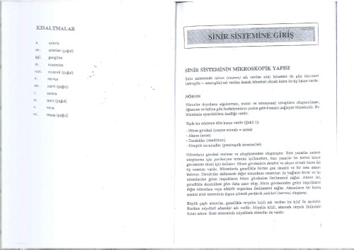 ﻿نوروآناتومی عملکردی