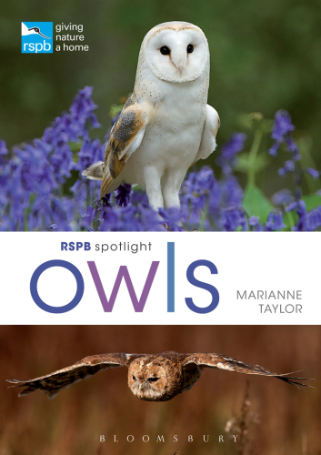 ﻿RSPB Spotlight: جغدها