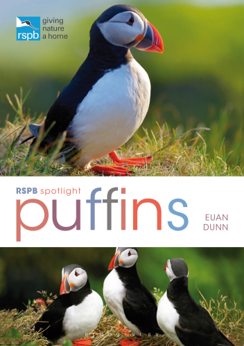 ﻿RSPB Spotlight: Puffins