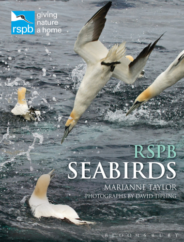 ﻿RSPB Seabirds