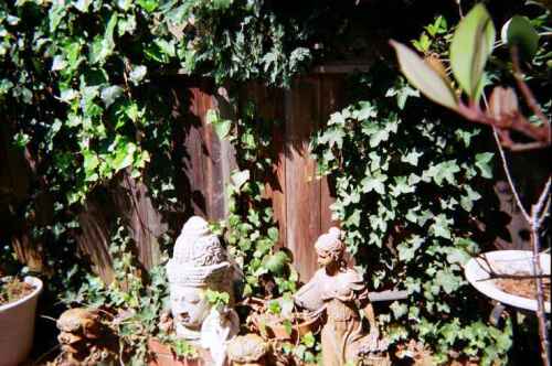 ﻿مدیتیشن نشسته