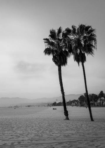 ﻿چگونه یک میلیارد دلار را رد کنیم