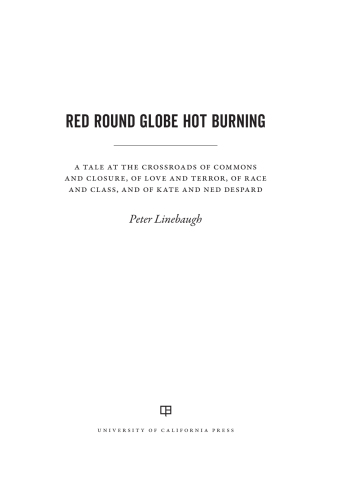 ﻿Red Round Globe Hot Burning: A Tale on Crossroads of Commons and Closure, of Love and Terror, of Race and Class, and of Kate and Ned Despard